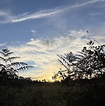 IMG_5689