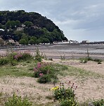 IMG_9052
