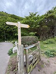 IMG_9029