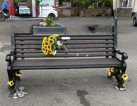 IMG_9039