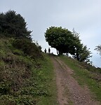 IMG_9093