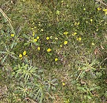 IMG_9094