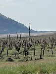 IMG_9138