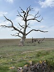 IMG_9142