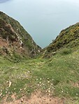 IMG_9255