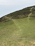 IMG_9253