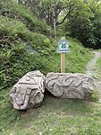 IMG_9248