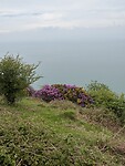 IMG_9244