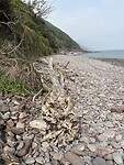 IMG_9194