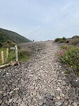 IMG_9190