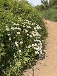 IMG_9417
