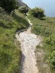 IMG_9410