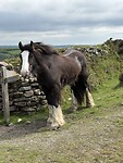 IMG_9401