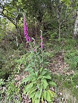 IMG_9380