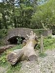IMG_9373