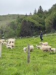 IMG_9335