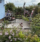IMG_9454