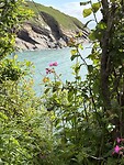 IMG_9467