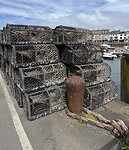 IMG_9492