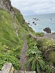 IMG_9508