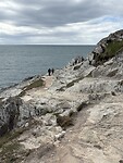 IMG_9548