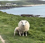 IMG_9555