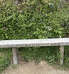 IMG_9517