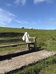 IMG_9592