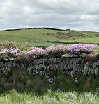 IMG_9604