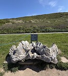 IMG_9609
