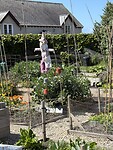 IMG_9611