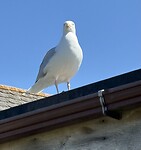 IMG_9613