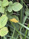 IMG_9624