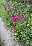 IMG_9627