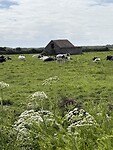 IMG_9633