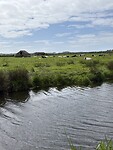 IMG_9635