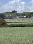 IMG_9734