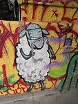 IMG_9704