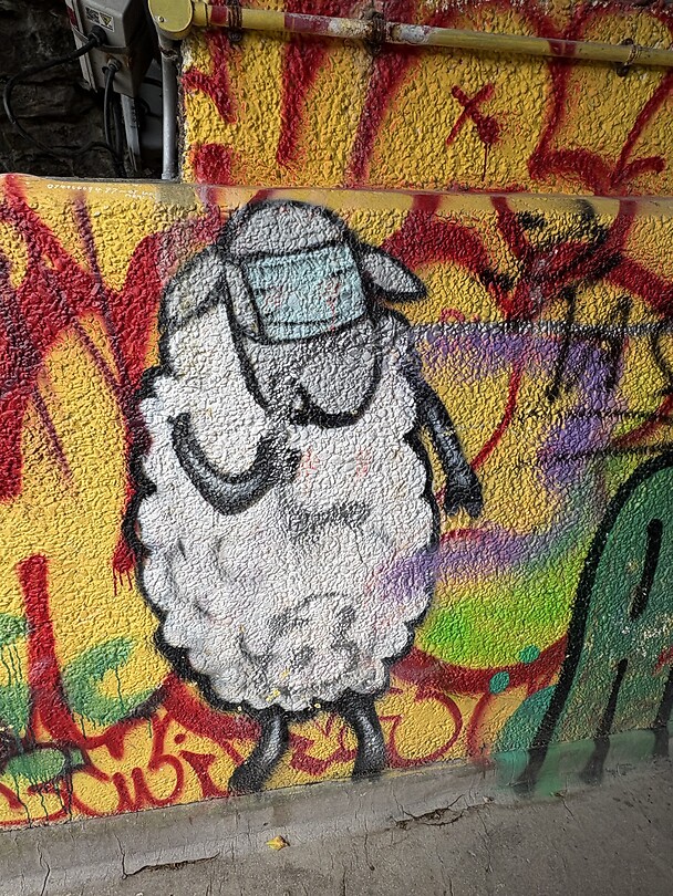 IMG_9704