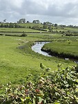 IMG_9686