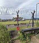 IMG_9675