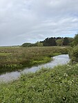 IMG_9673