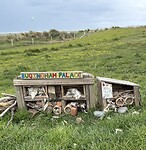 IMG_9893