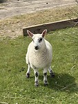 IMG_9875