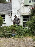 IMG_9856
