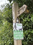 IMG_9850