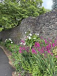 IMG_9832