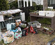 IMG_9828