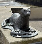 IMG_9816