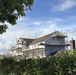 IMG_9798